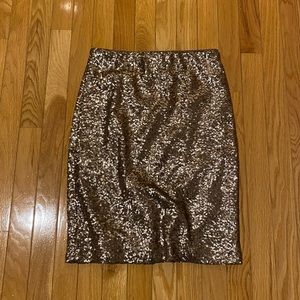 Ann Taylor Sequin Skirt 4P
